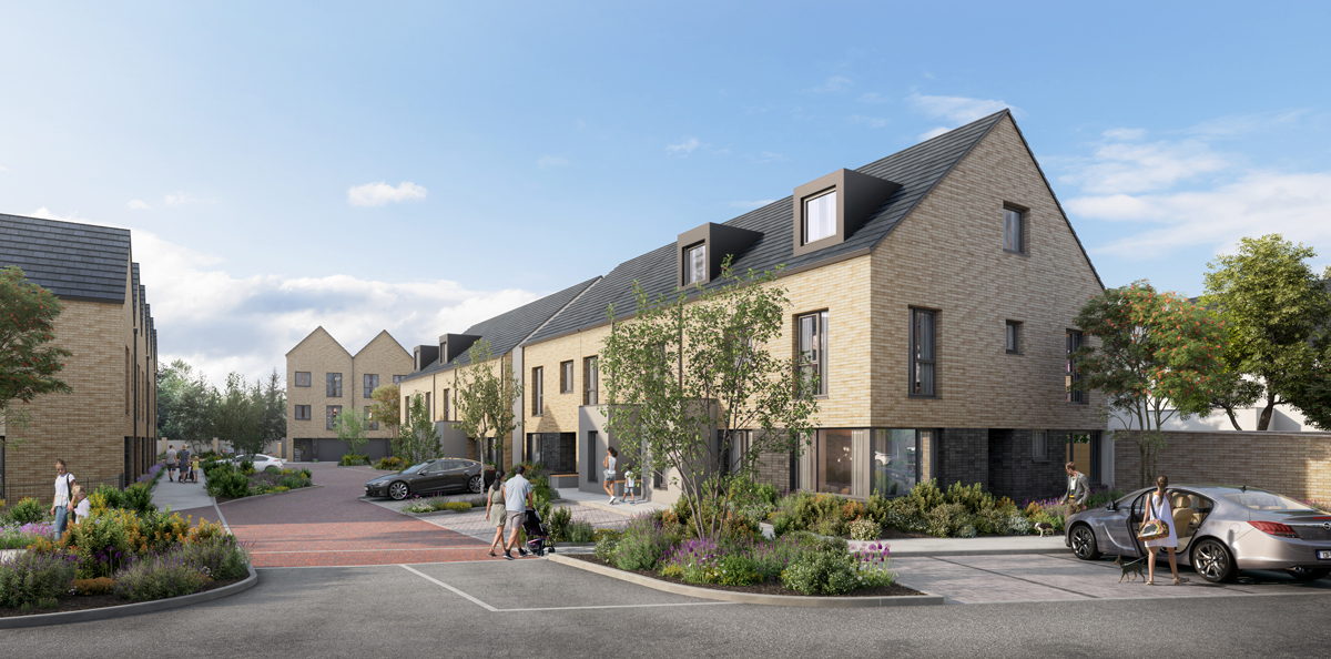 Mabestown Wood, Malahide, Co Dublin
